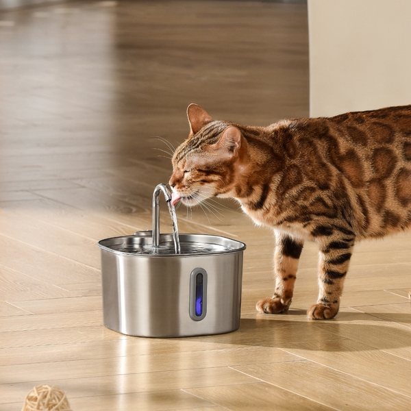 Faucet-style [Design That Cats Love]