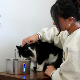 El KittySpout™ - Kit de 2 meses para la fuente de 2,2 l thumbnail