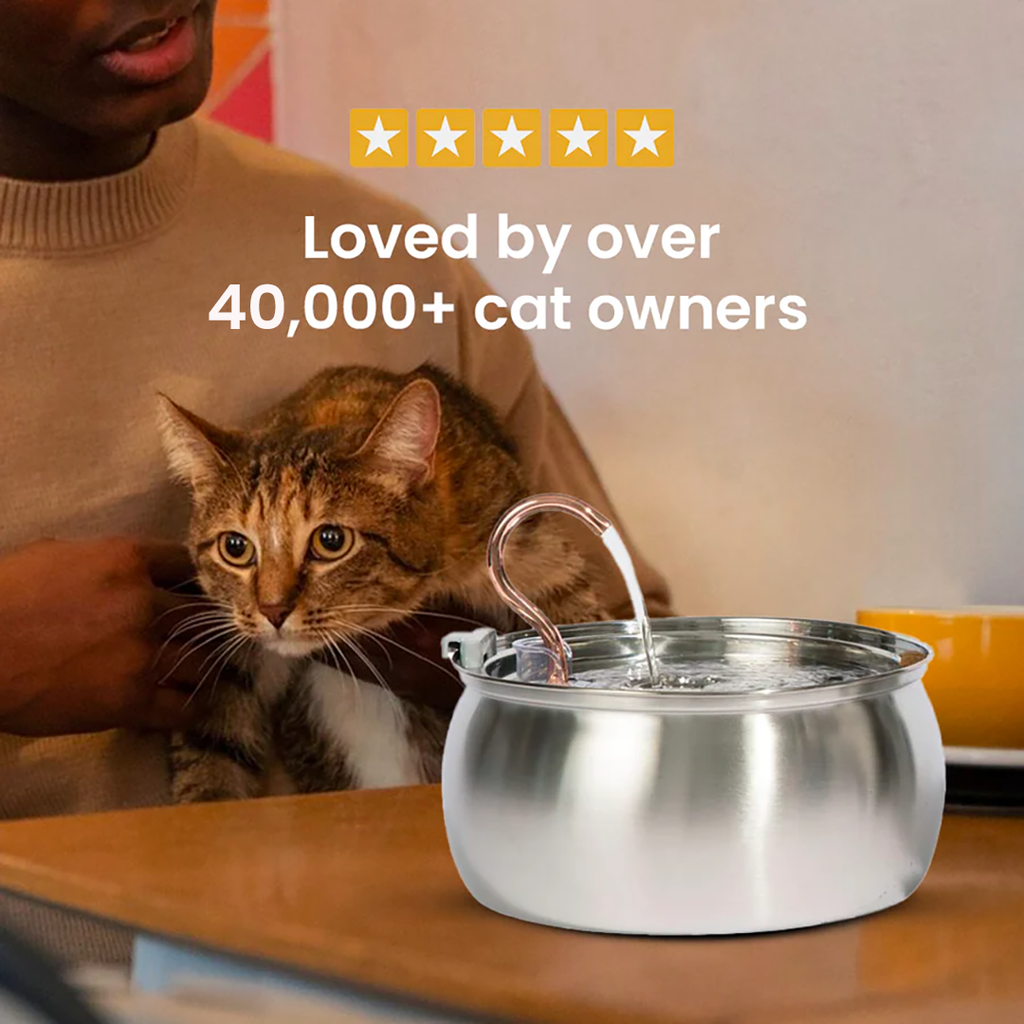 Like New Big Cat Family Bundle - 4L / 4L