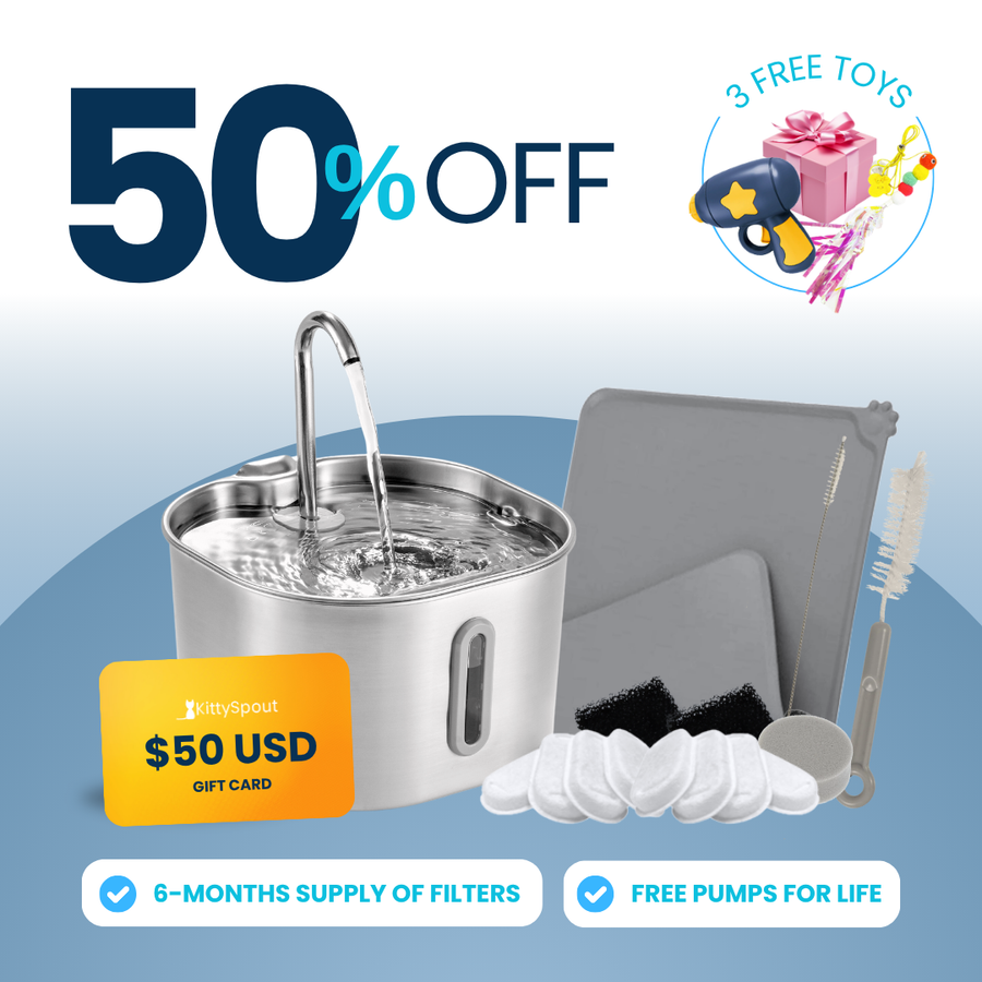 The KittySpout™ - 2.2L Value Bundle