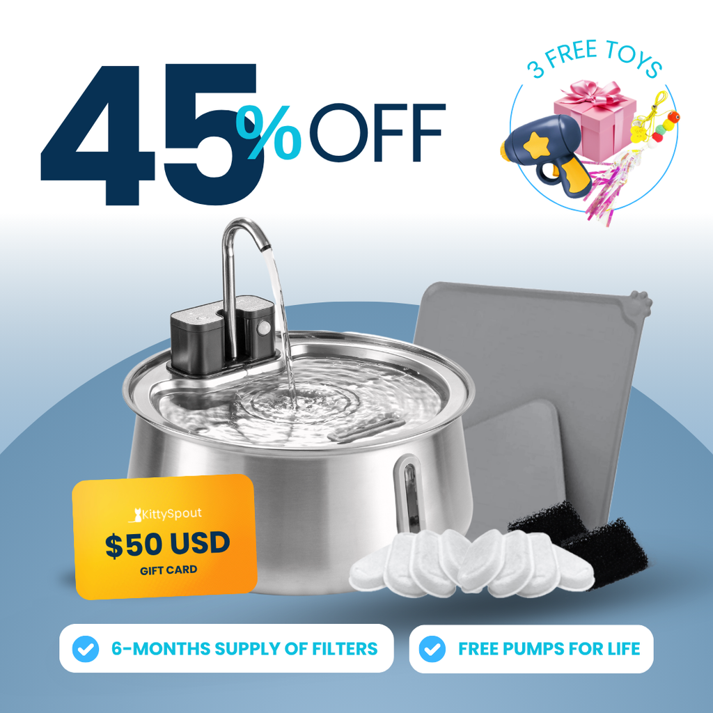 Wireless 2.0 KittySpout Value Bundle