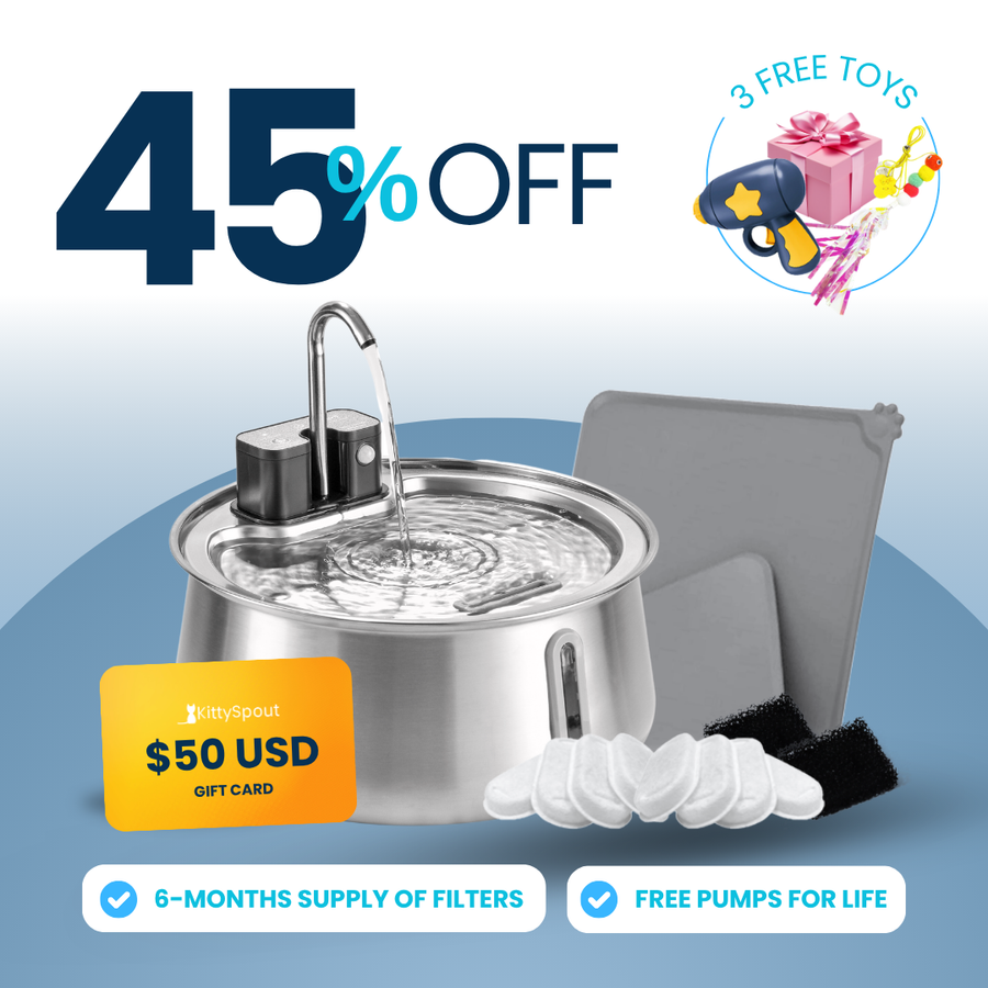 Wireless 2.0 KittySpout Value Bundle