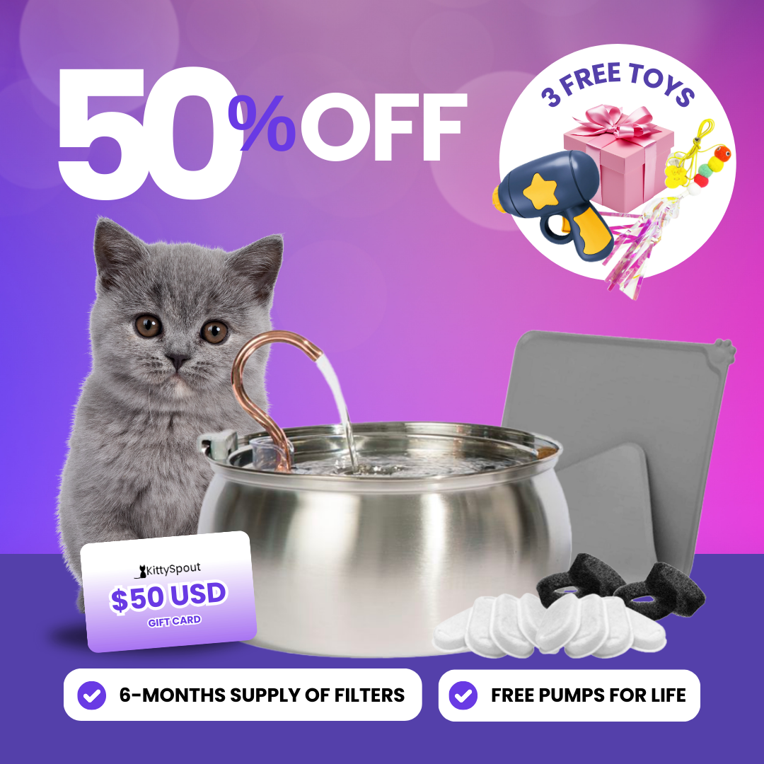 KittySpout Value Bundle