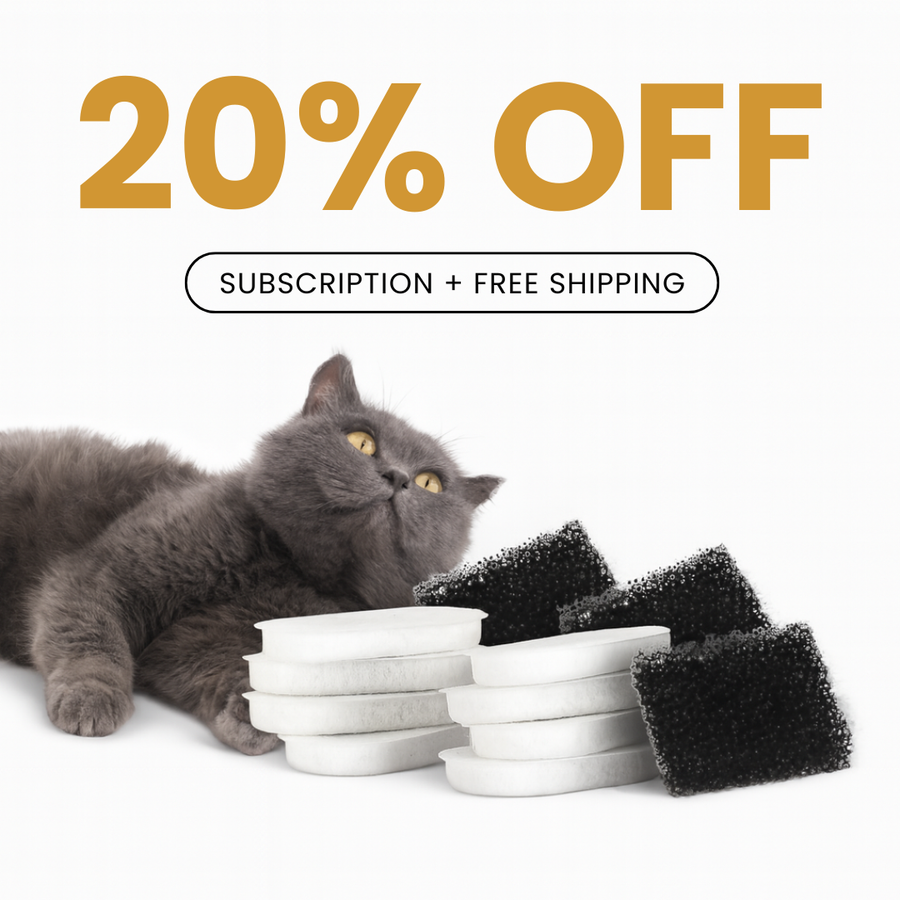 8x KittySpout™ Filter – 8 Monate Vorrat