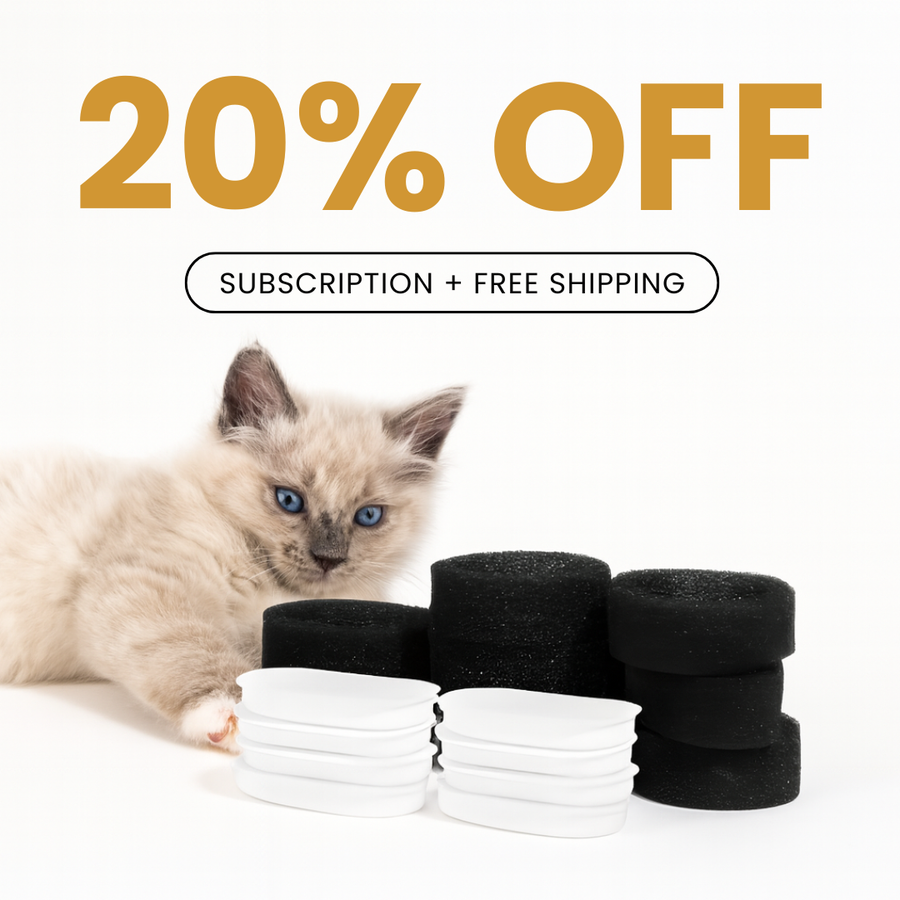 8x KittySpout™ Filter – 8 Monate Vorrat