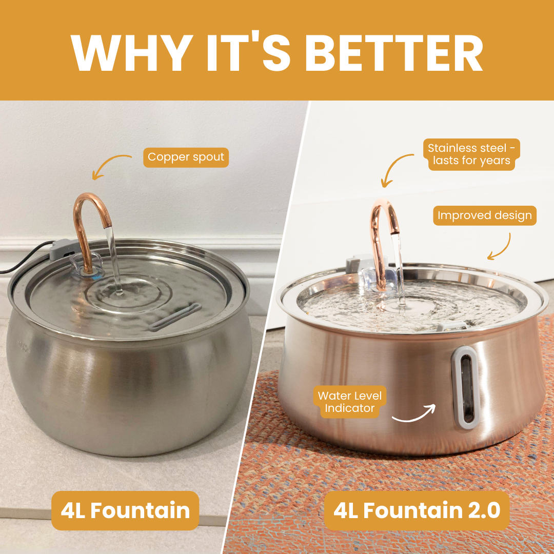 Like New The KittySpout 2.0 - Health & Happiness Cat Kit - 2 Month: KittySpout + 4 filter sets + AC adapter