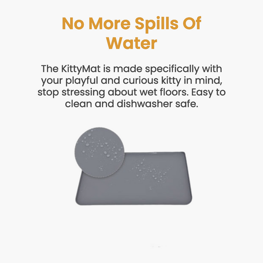 Like New KittySpout Value Bundle - 4L