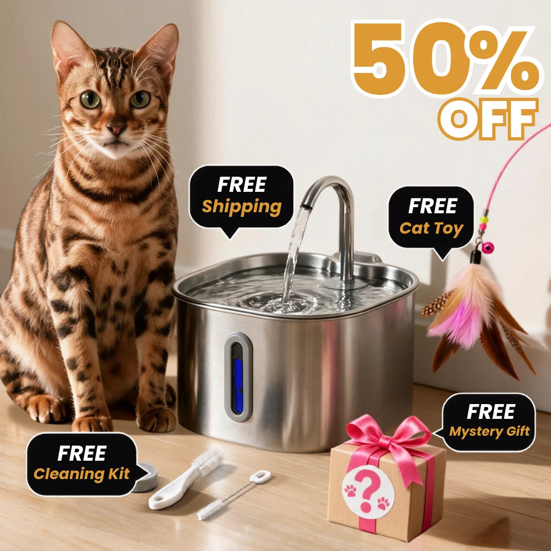 The KittySpout™ — Health & Happiness Cat Kit