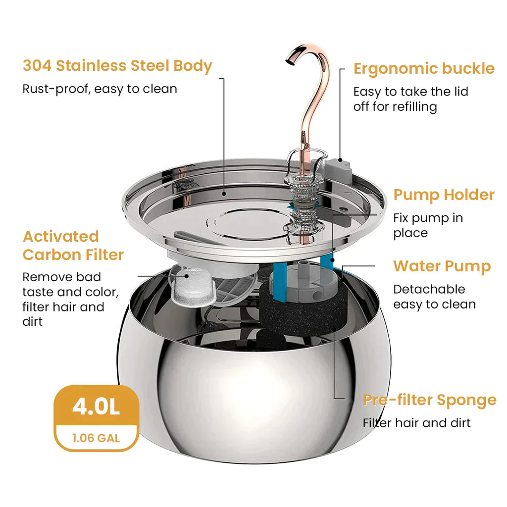 Paquete familiar de grandes felinos 