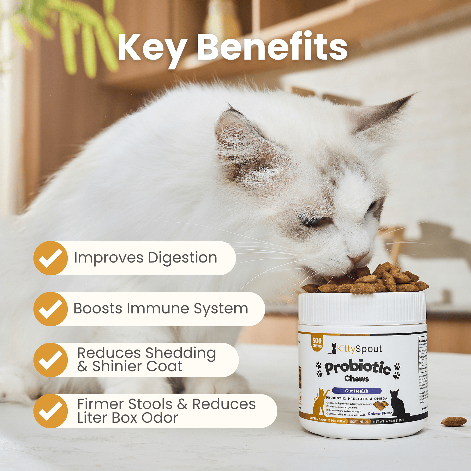 KittySpout Probiotic Chews