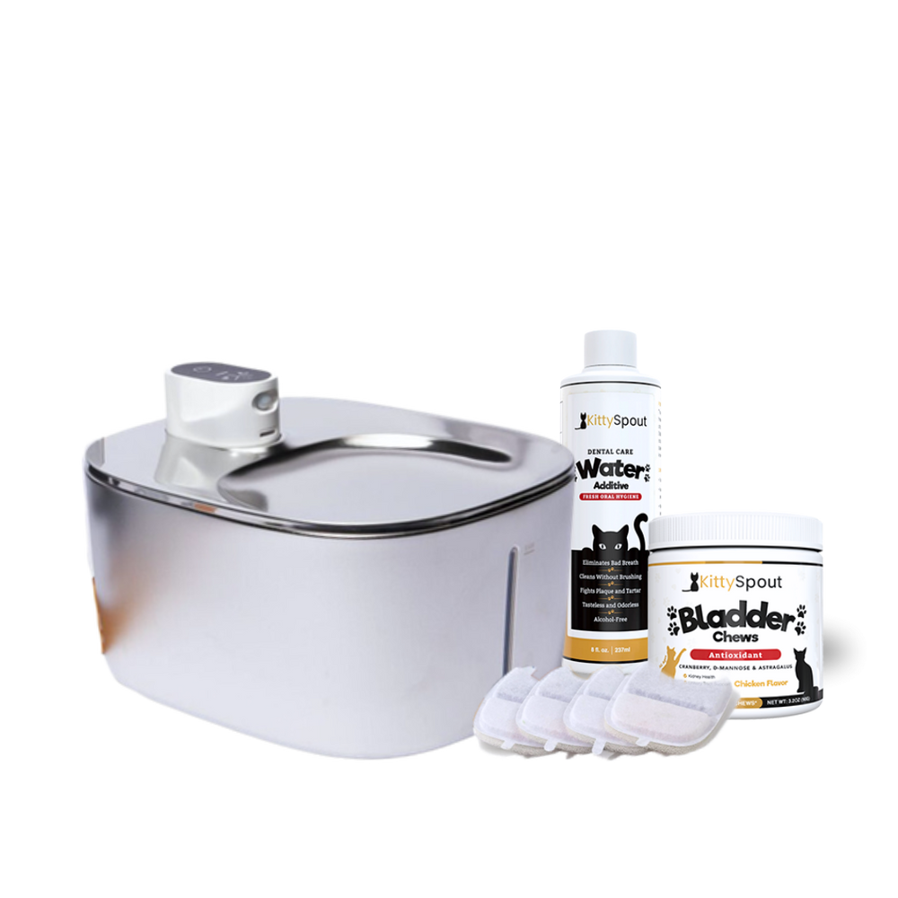 Wireless Hydration & Health Bundle