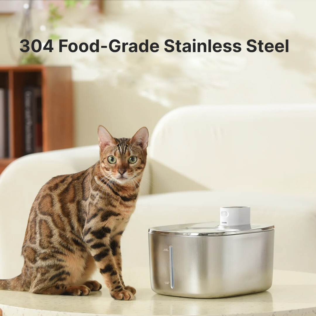 Like New The KittySpout - Wireless Fountain (Vet testimonials) - 2 Month: Wireless KittySpout + 4 filter sets + free gift