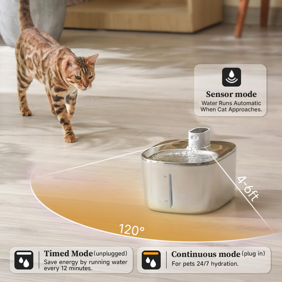 Wireless Purrr-fect KittySpout Kit