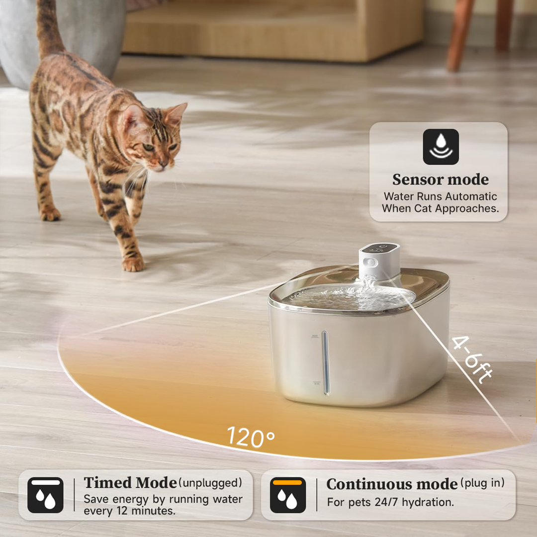 Like New The KittySpout - Wireless Fountain (Vet testimonials) - 1 Month: Wireless KittySpout + 2 filter sets