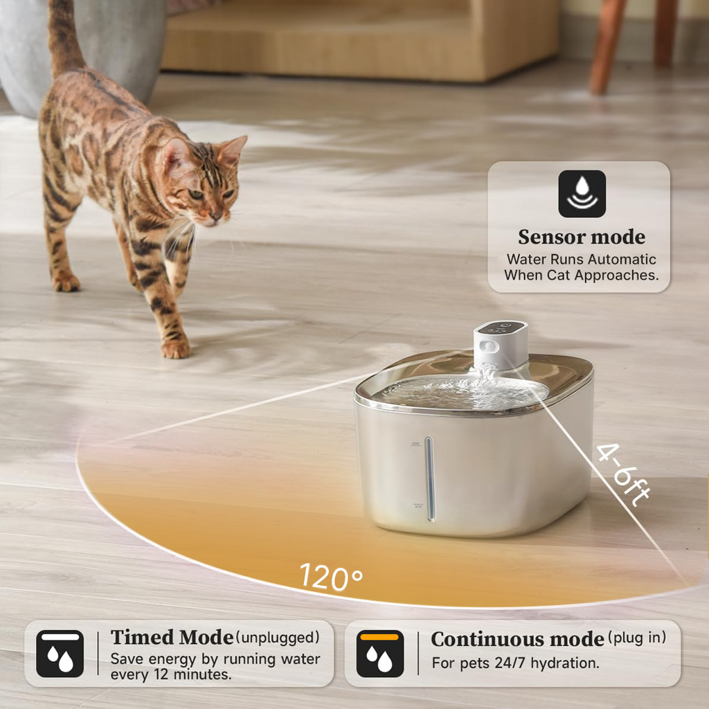 Refurbished The KittySpout - Wireless Fountain - 2 Month: Wireless KittySpout + 4 filter sets + free gift