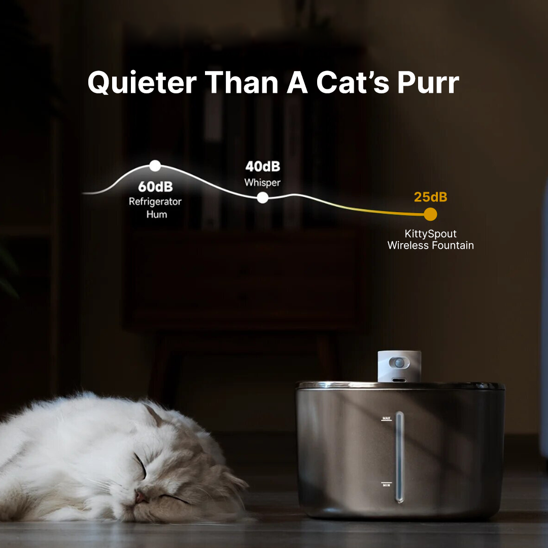 Wireless Purrr-fect KittySpout Kit