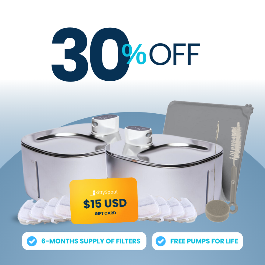 Wireless Big Cat Family Bundle