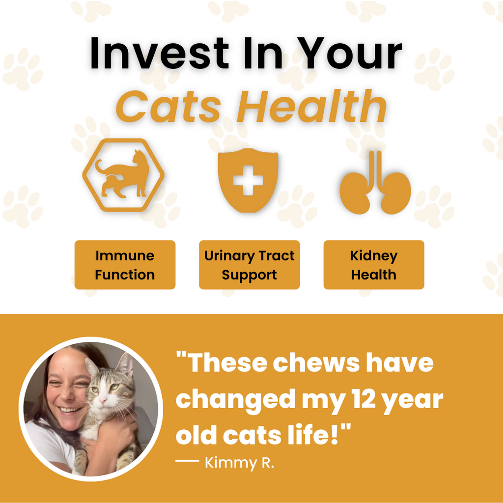 Bladder & Kidney Support Chews